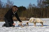 ENFANT ET CHIEN 303